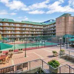 Apartment City - Free Parking, 3 Bedrooms And 2 Bathrooms 